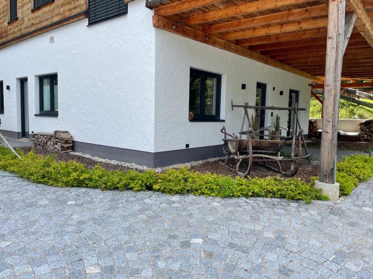 Schladminger Tauern Apartment 恩斯塔尔豪斯 外观 照片