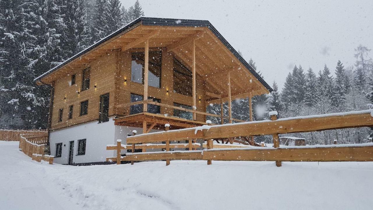 Schladminger Tauern Apartment 恩斯塔尔豪斯 外观 照片
